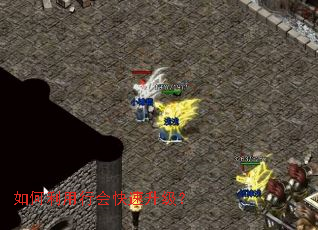 ��������л����������