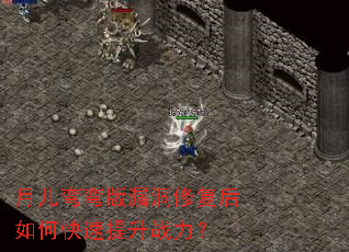 �¶������©���޸�����ο�������ս����