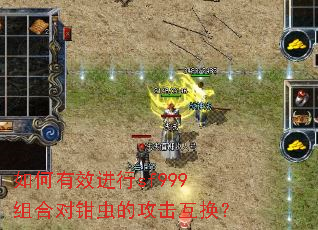 �����Ч����sf999��϶�ǯ��Ĺ���������