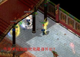 传神天狼蜘蛛究竟藏身何处? 传神天狼蜘蛛究竟藏身何处?