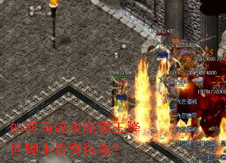 �����Ч���԰��������ű�����˽����