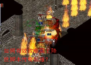 �����Ч���԰��������ű�����˽����