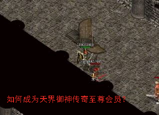 如何成为天界御神传奇至尊会员? 如何成为天界御神传奇至尊会员?