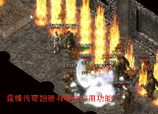 霆锋传奇翅膀有哪些实用功能? 霆锋传奇翅膀有哪些实用功能?