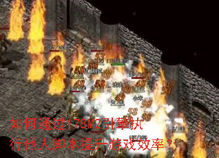 ���ͨ��178M2����ִ�����˽ű�������ϷЧ�ʣ�