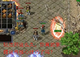 玩法师这么久,你真的掌握这些核心技巧了吗? 玩法师这么久,你真的掌握这些核心技巧了吗?