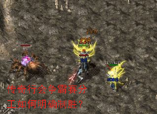 传奇行会争霸赛分工如何明确制胜? 传奇行会争霸赛分工如何明确制胜?