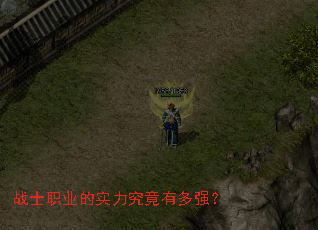 战士职业的实力究竟有多强? 战士职业的实力究竟有多强?
