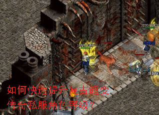 如何快速提升复古超变传奇私服角色等级? 如何快速提升复古超变传奇私服角色等级?