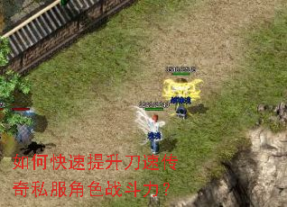 ��ο����������ٴ���˽����ɫս������