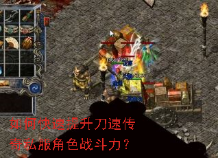 ��ο����������ٴ���˽����ɫս������