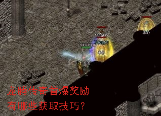 ���ڴ����ױ���������Щ��ȡ���ɣ�