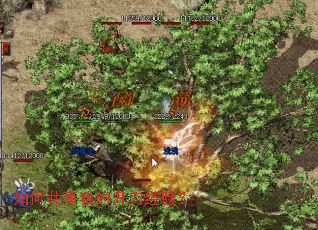 ��ι����ҵ��������飿