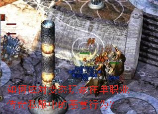 ���Ӧ�Ա�̬����ڵ�ְҵ����˽���еĶ�����Ϊ��