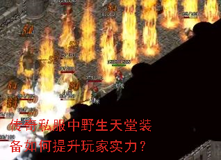 传奇私服中野生天堂装备如何提升玩家实力? 传奇私服中野生天堂装备如何提升玩家实力?