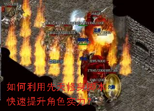 ����������������ű�����������ɫʵ����