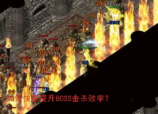 ��ο�������BOSS��ɱЧ�ʣ�