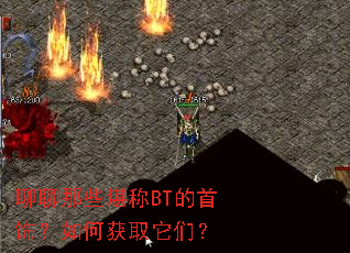 ������Щ����BT�����Σ���λ�ȡ���ǣ�