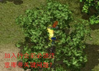 �����л�ǰ����ע����Щ�ؼ����⣿