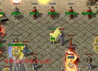 �����ݵ�������ô�棿