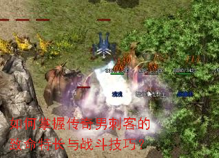 如何掌握传奇男刺客的致命特长与战斗技巧? 如何掌握传奇男刺客的致命特长与战斗技巧?