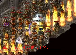 战士与战士组合是否明智? 战士与战士组合是否明智?