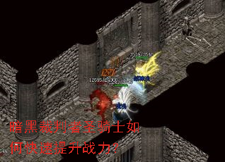 ���ڲ�����ʥ��ʿ��ο�������ս����