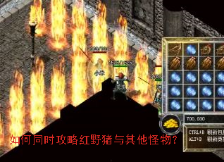 如何同时攻略红野猪与其他怪物? 如何同时攻略红野猪与其他怪物?