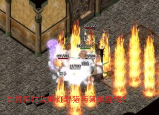 如何同时攻略红野猪与其他怪物? 如何同时攻略红野猪与其他怪物?