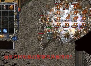 如何同时攻略红野猪与其他怪物? 如何同时攻略红野猪与其他怪物?