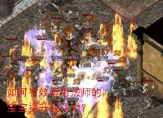 如何有效运用法师的宝宝提升战斗力? 如何有效运用法师的宝宝提升战斗力?