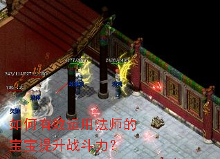 如何有效运用法师的宝宝提升战斗力? 如何有效运用法师的宝宝提升战斗力?