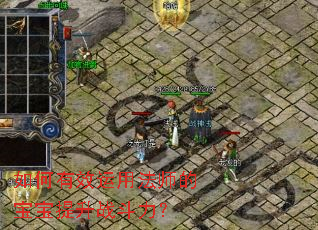 如何有效运用法师的宝宝提升战斗力? 如何有效运用法师的宝宝提升战斗力?