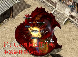 ����������ѡ�����е����������ͼ��