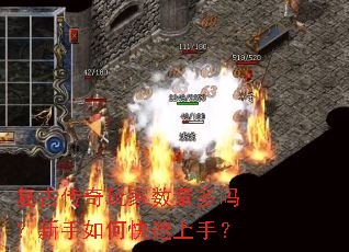 复古传奇玩家数量多吗?新手如何快速上手? 复古传奇玩家数量多吗?新手如何快速上手?