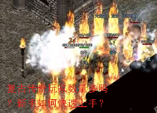 复古传奇玩家数量多吗?新手如何快速上手? 复古传奇玩家数量多吗?新手如何快速上手?