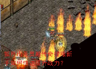 狐月山圣灵殿传奇搜服新手如何快速提升战力? 狐月山圣灵殿传奇搜服新手如何快速提升战力?