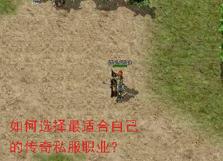 ���ѡ�����ʺ��Լ��Ĵ���˽��ְҵ��