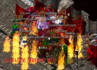 ����4����������Ұ����