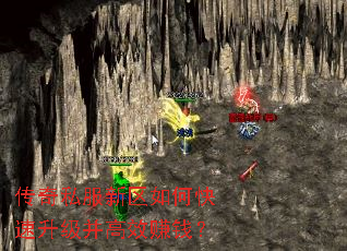 ����˽��������ο�����������Ч׬Ǯ��