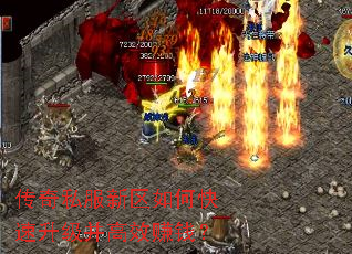 ����˽��������ο�����������Ч׬Ǯ��