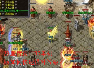 ��Ѫ����1.85��������ο��������ȼ���