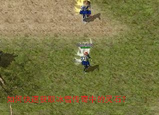 ��ο��ٻ�ȡ��ѩ�����е���ʯ��