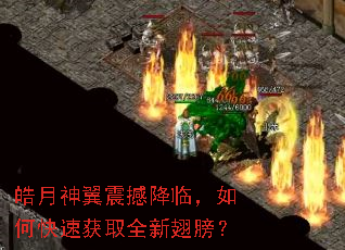 ��������𺳽��٣���ο��ٻ�ȡȫ�³��