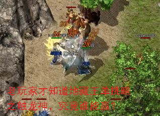 老玩家才知道地藏王单挑暗之触龙神,究竟谁能赢? 老玩家才知道地藏王单挑暗之触龙神,究竟谁能赢?