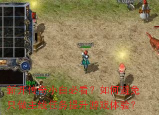 �¿�����С�ױؿ�����α���ֻ����������������Ϸ���飿