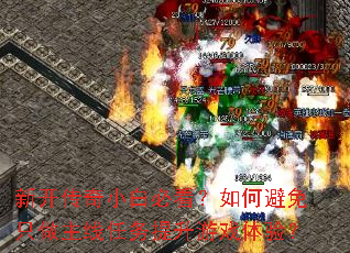 �¿�����С�ױؿ�����α���ֻ����������������Ϸ���飿