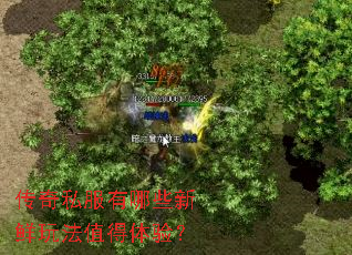 ����˽������Щ�����淨ֵ�����飿