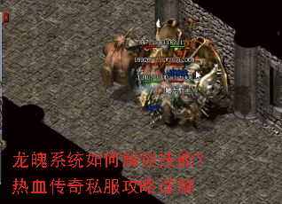 ����ϵͳ��ν������ܣ���Ѫ����˽���������