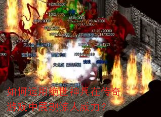 ������þ�������ڴ�����Ϸ��չ�־���������